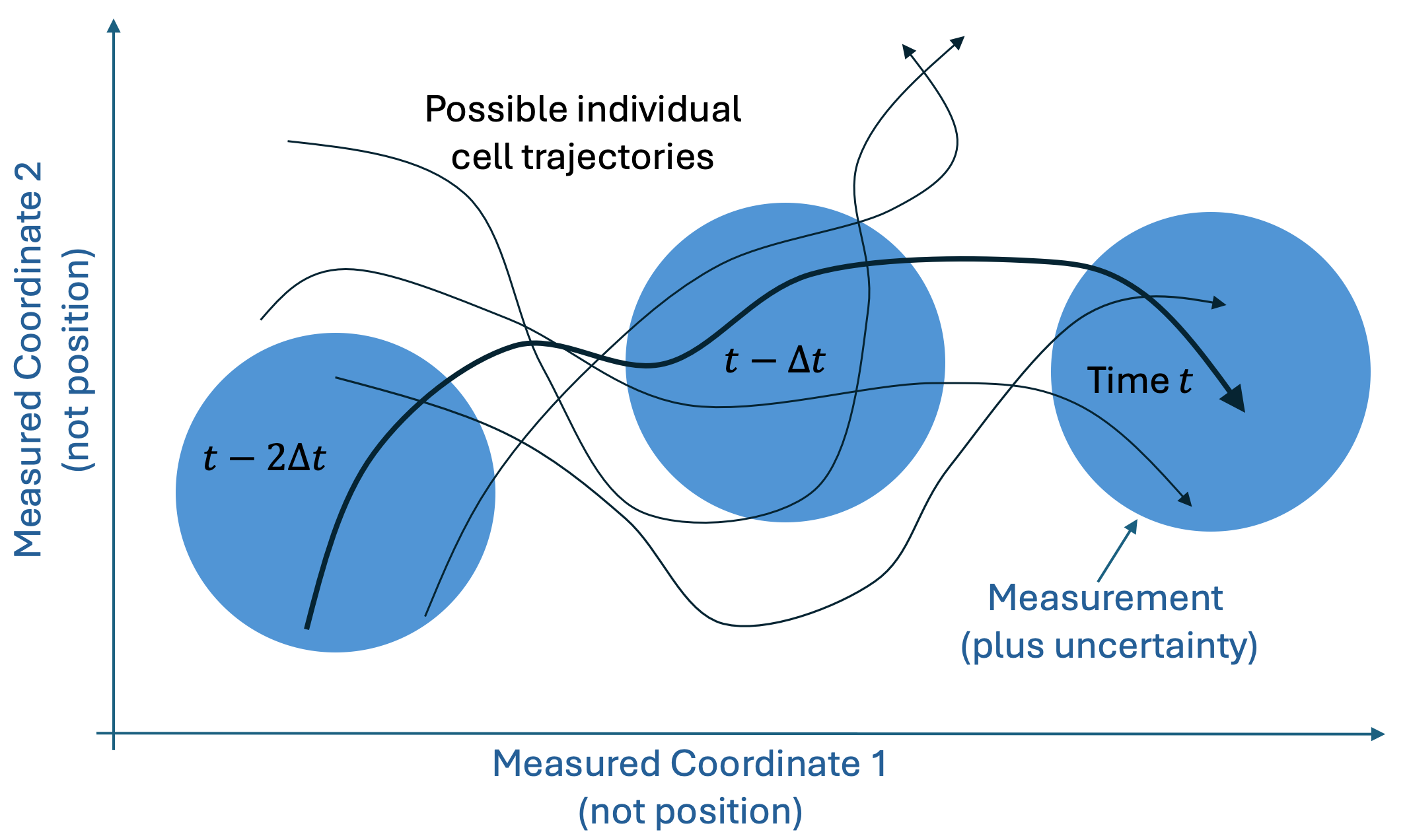 Three snapshots of cell coordinates.